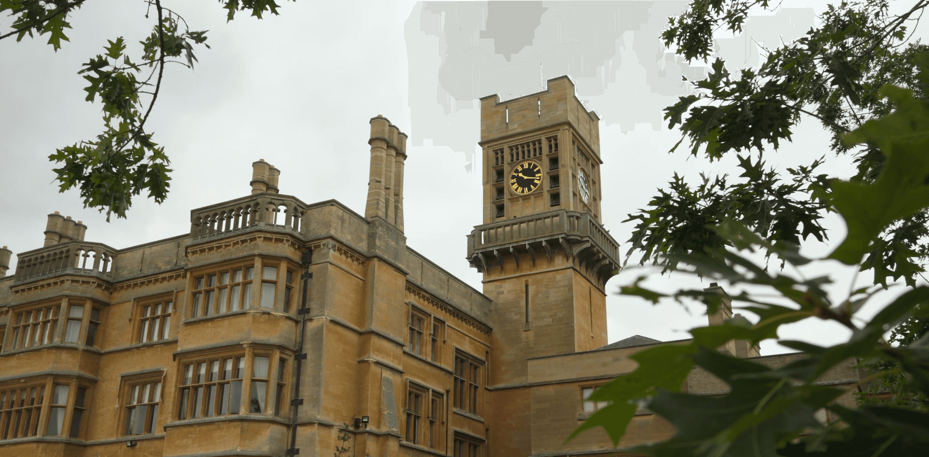 Historic stone building with a prominent square clock tower framed by green tree leaves.