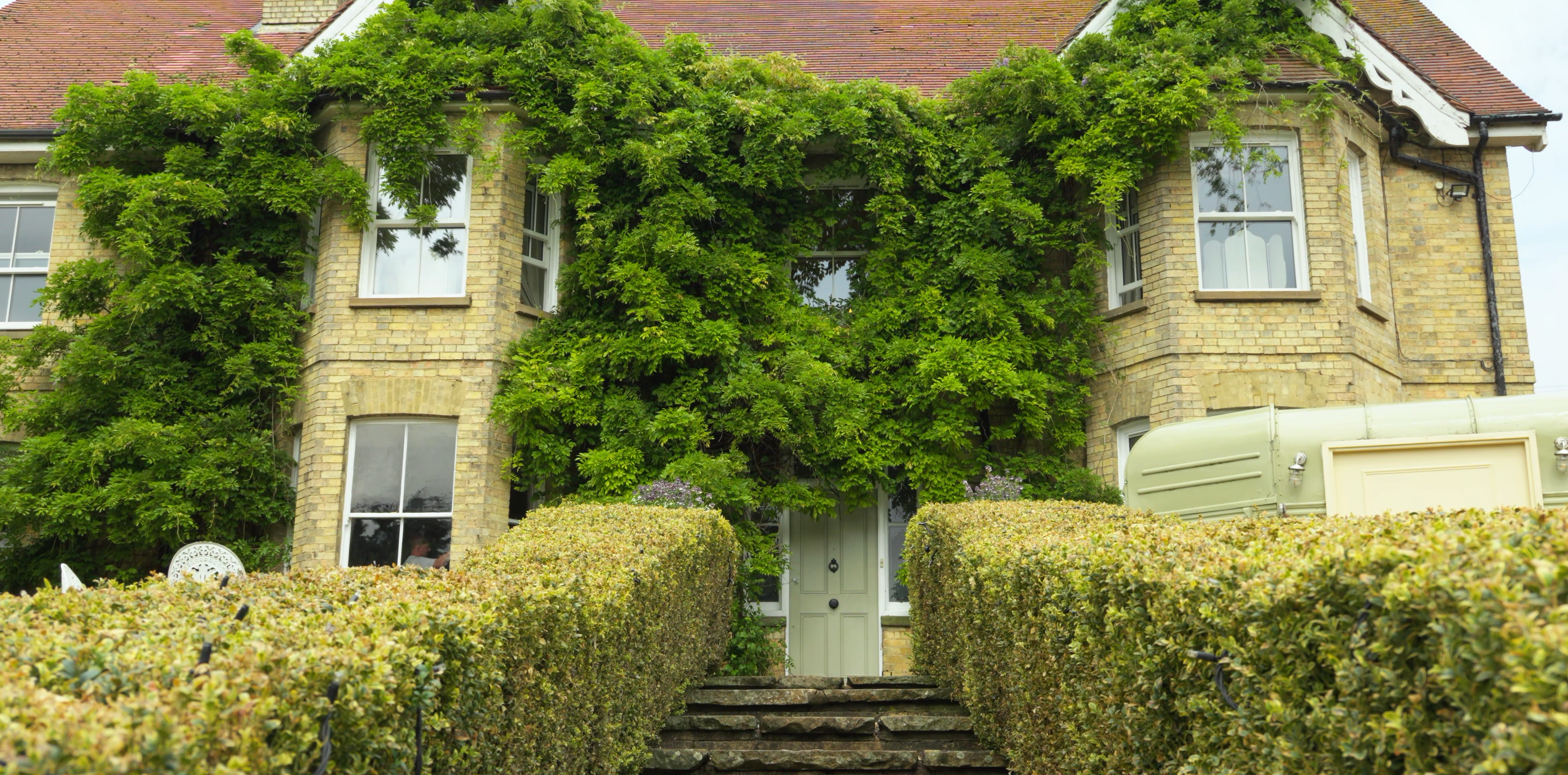 Yellow brick house covered in green vines with stone steps between two manicured hedges.